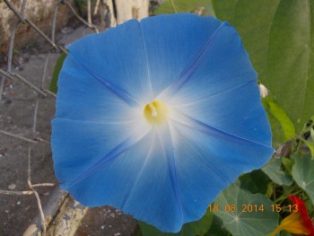 rsz_dscn0254.jpg