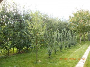 rsz_picture_018.jpg