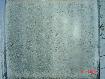 rsz_1dsc04305.jpg