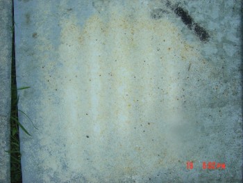 rsz_dsc04309.jpg