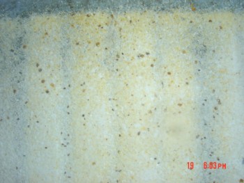 rsz_dsc04312.jpg