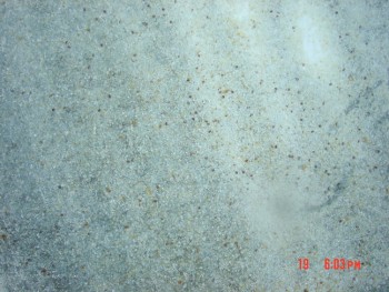 rsz_dsc04314.jpg