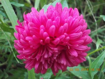 rsz_picture_060.jpg