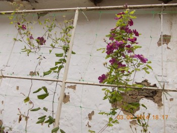 rsz_picture_052.jpg