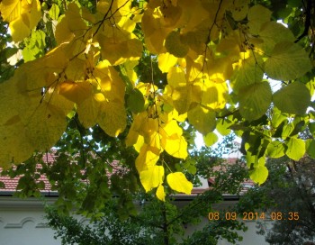 rsz_1picture_019.jpg