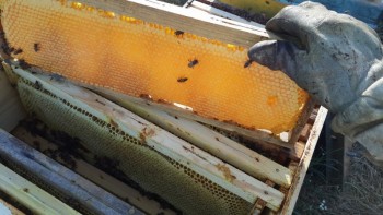 20140713_185456_800x450.jpg