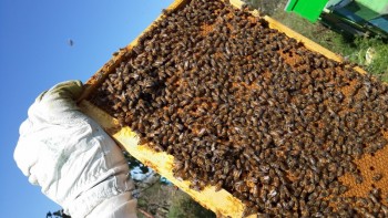 20140824_162234_800x450.jpg