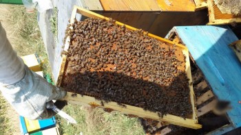 20140908_153713_800x450.jpg