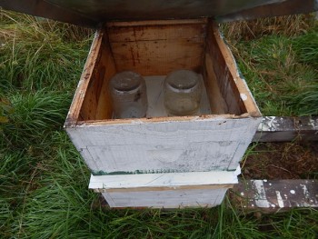 DSCN3987.JPG