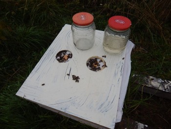 DSCN3988.JPG