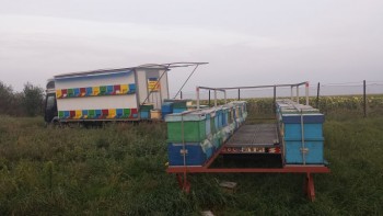 aalta.jpg