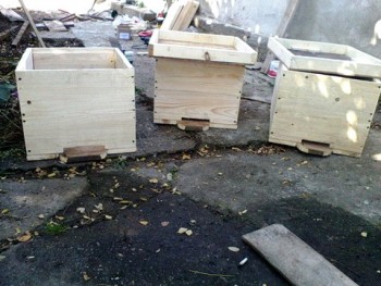 IMG0034A.jpg