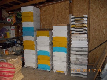 rsz_picture_007.jpg
