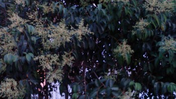 rsz_img_20140831_201453.jpg
