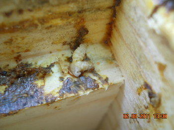 DSCN1316.JPG