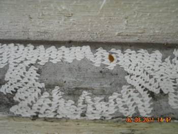 DSCN1321.JPG