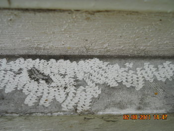 DSCN1322.JPG