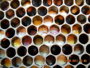 DSCN1335.JPG