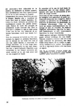 pag 19-20_002.jpg