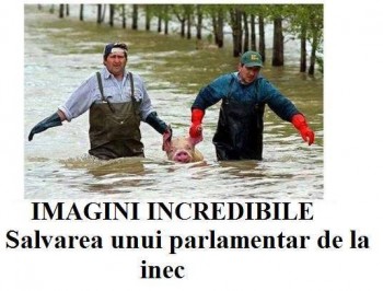 salvare de la inec.jpg