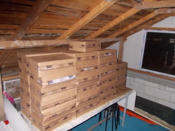 cata 1865 (Medium).jpg