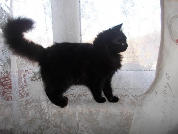 rsz_dscn4992.jpg