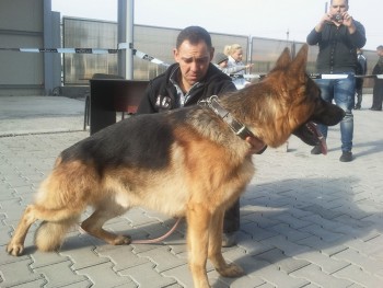 2011-11-05 12.35.16.jpg