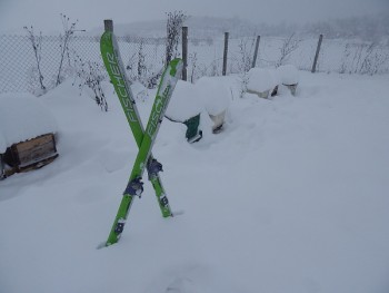 DSCN4398.JPG