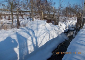 rsz_1picture_009.jpg