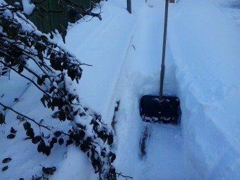 2014-12-31 10.03.34.jpg