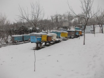 2015 la Comeat 012.JPG