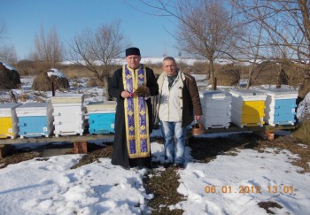 rsz_1picture_010.jpg