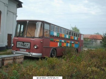 ok_28464.jpg