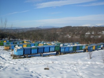 SDC10194.JPG
