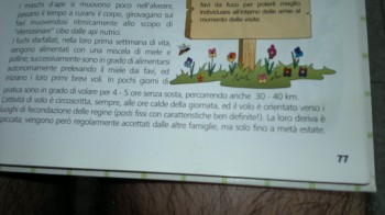 2015-02-03-728_1.jpg
