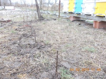 rsz_22picture_012.jpg