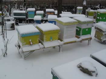 SDC11334.JPG