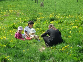 DSCF5295.JPG
