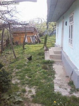 16812715_7.jpg