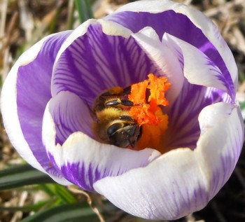 DSCN44292.jpg
