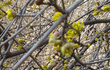 2015-02-24 r.jpg