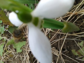 rsz_20150227_140505.jpg