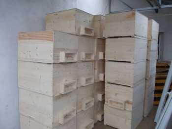 g 002.JPG