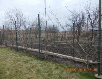 rsz_2picture_029.jpg