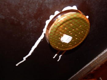 DSCN3978.jpg