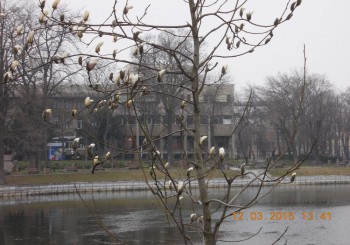 rsz_1picture_006 (1).jpg