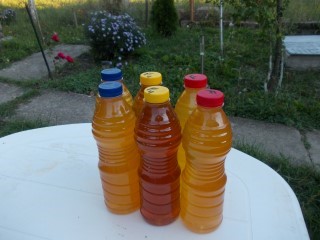 stupina lui florinelu=tricolorul 002.JPG