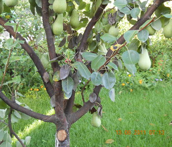 rsz_3dscn1550.jpg
