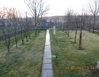 rsz_picture_005.jpg