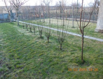 rsz_41picture_002.jpg
